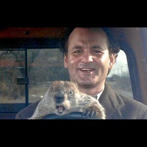 Meet your Posher, Tom